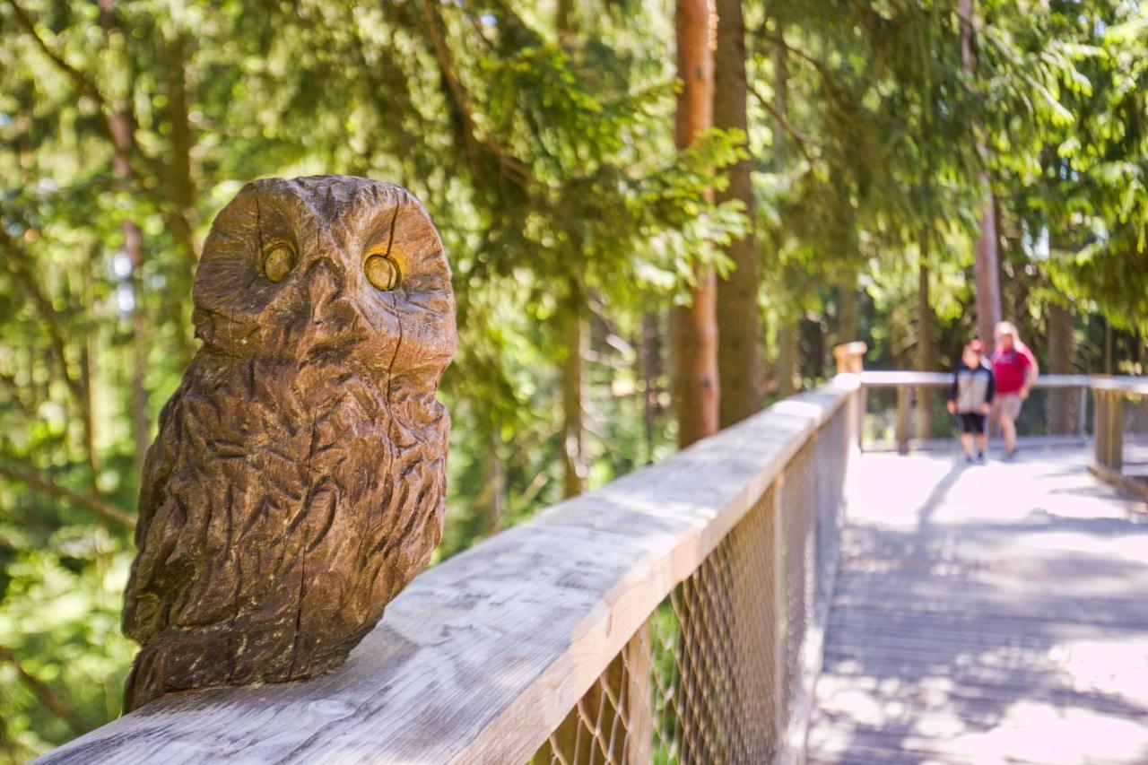 Apartmany Dolce Vita Lipno 511-5 S Vyhledem Na Jezero リプノ・ナト・ヴルタヴォウ エクステリア 写真